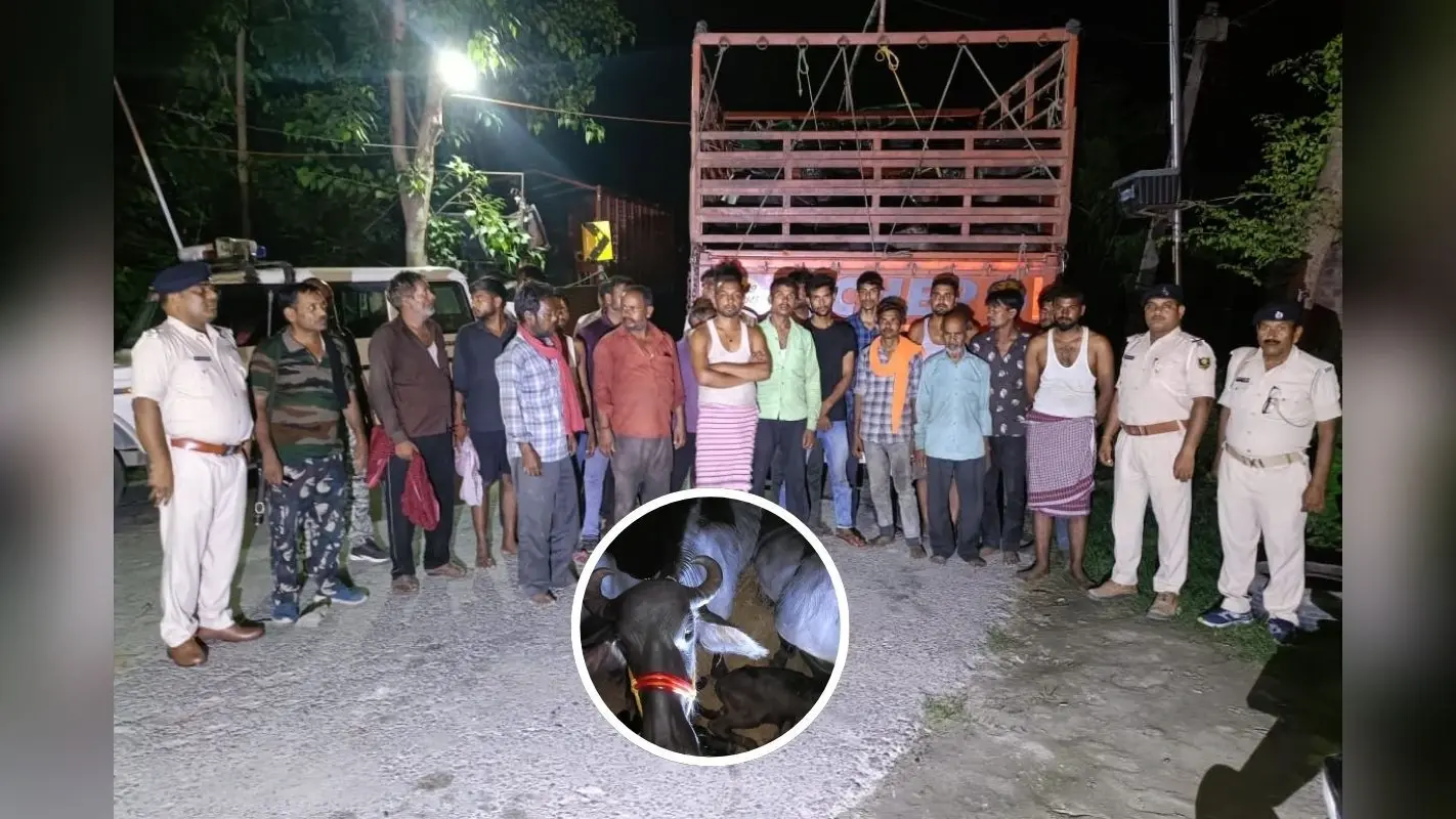 Muzaffarpur News: पशु तस्करों पर फकुली पुलिस का बड़ा एक्शन, 3 ट्रकों से 60 मवेशी मुक्त, यूपी के 22 अंतरराज्यीय तस्कर गिरफ्तार
